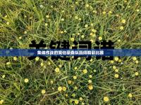 集体作战的奥伯豪森队赢得精彩比赛