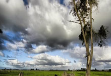 克罗地亚遭遇悲剧，捷克晋级淘汰赛