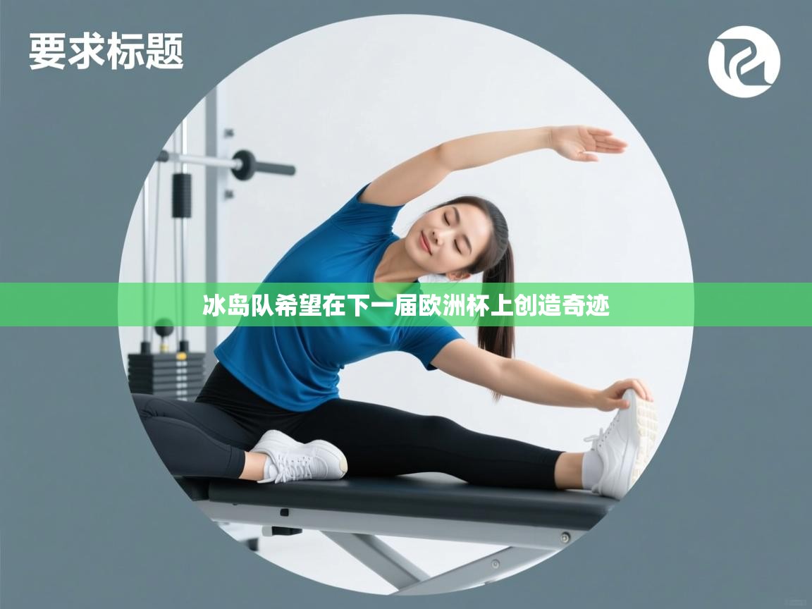 冰岛队希望在下一届欧洲杯上创造奇迹 第2张