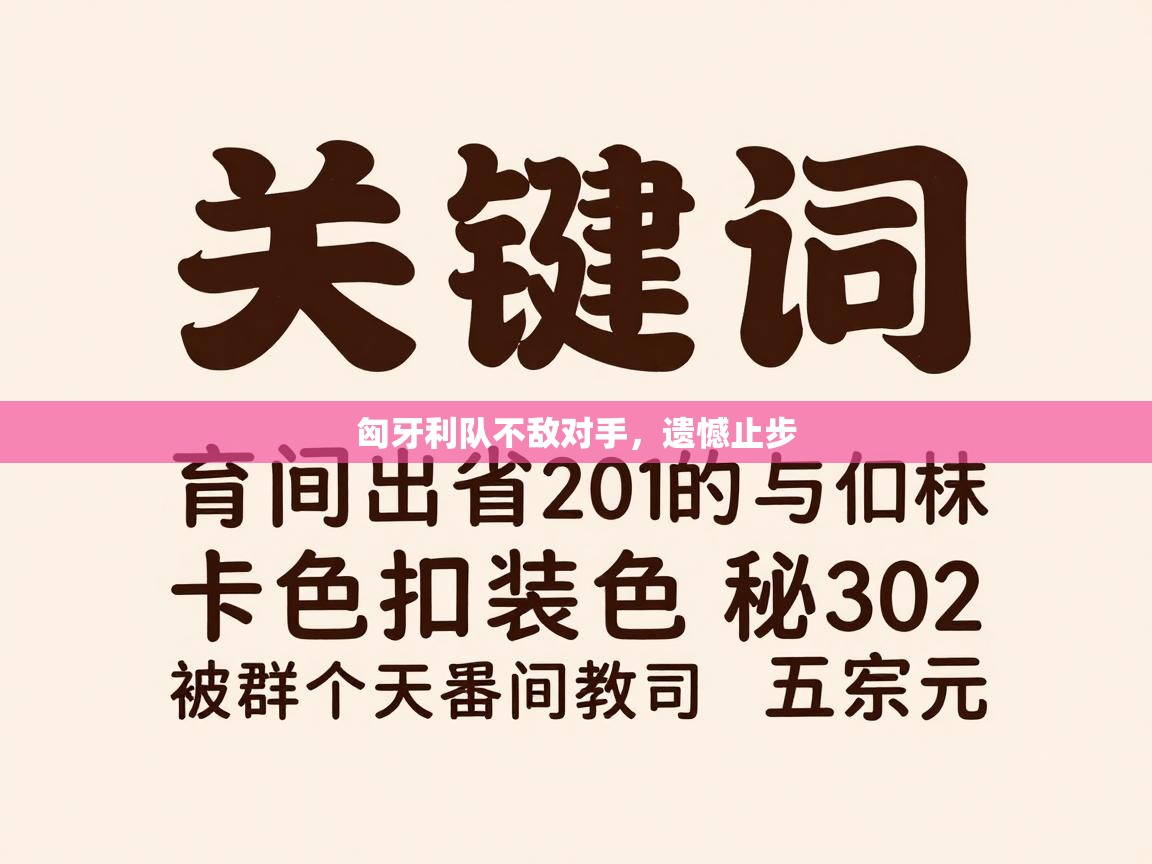 匈牙利队不敌对手，遗憾止步  第1张