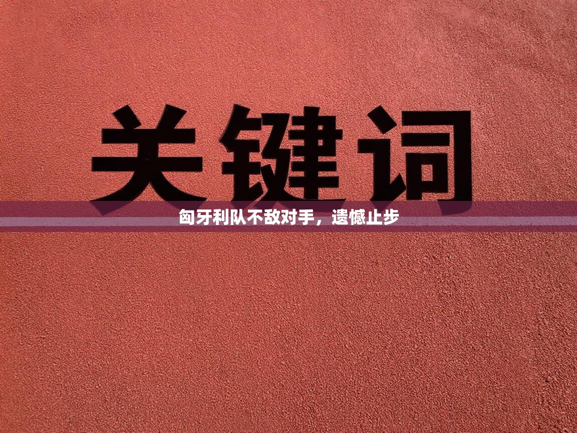 匈牙利队不敌对手，遗憾止步  第2张