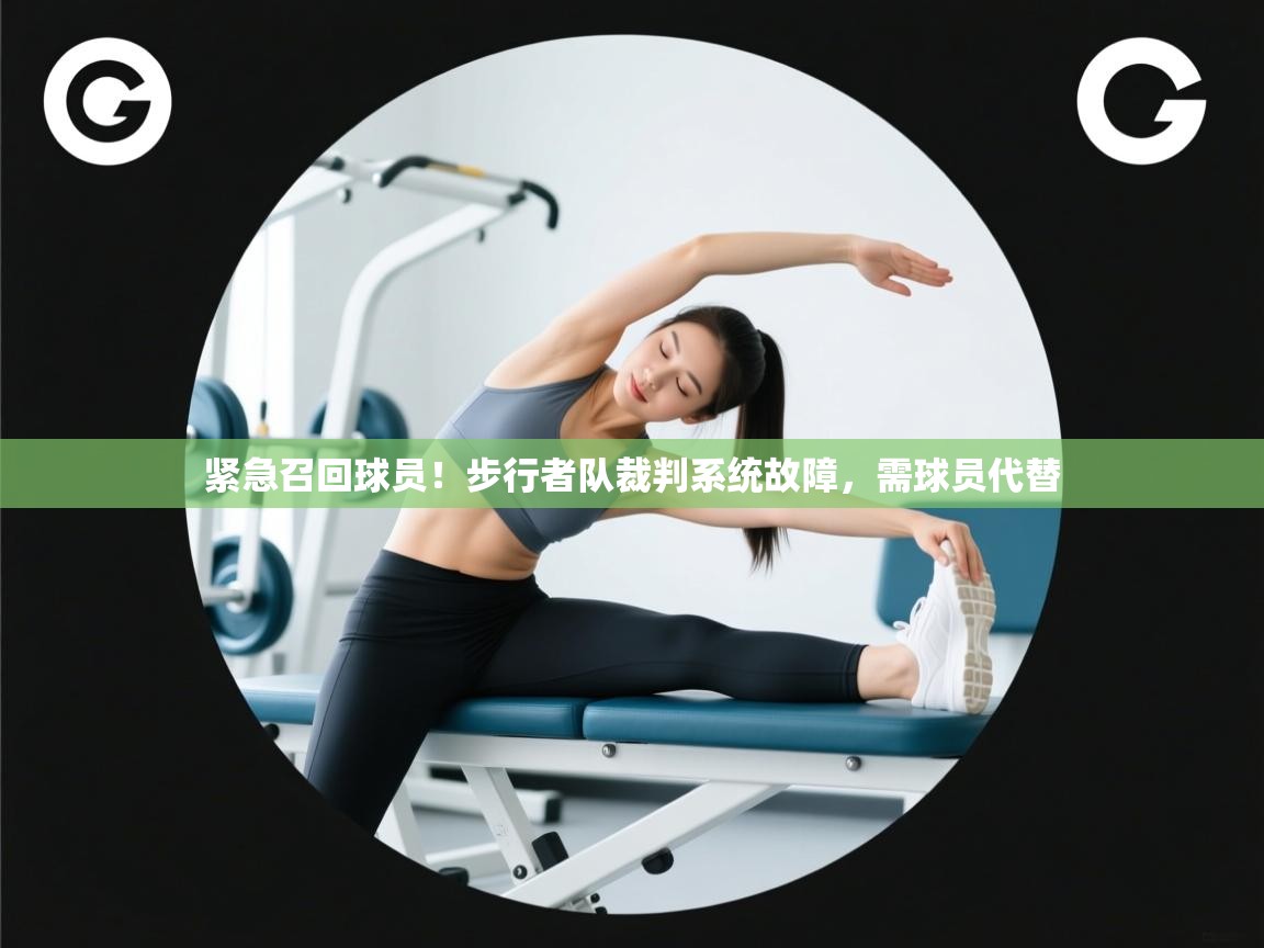 紧急召回球员!步行者队裁判系统故障,需球员代替 第2张